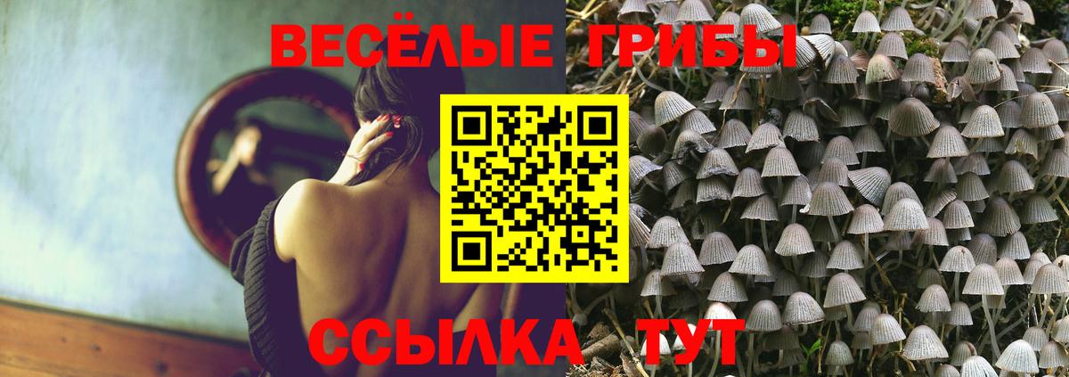 Галлюциногенные грибы MAGIC MUSHROOMS  Псилоцибиновые грибы Cubensis  Вход с VPN  Михайловск 